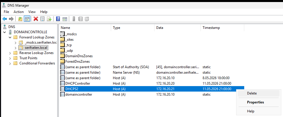 DNS Manager'dan Host(A) kaydı silme